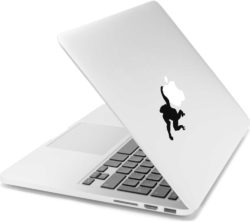 CASEIT  CSMA13DLMON 13